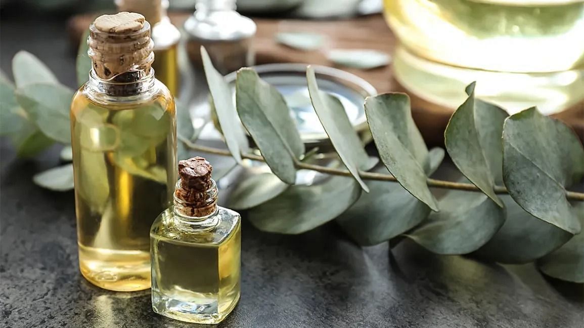 Uses of eucalyptus oil (Image via Getty Images)